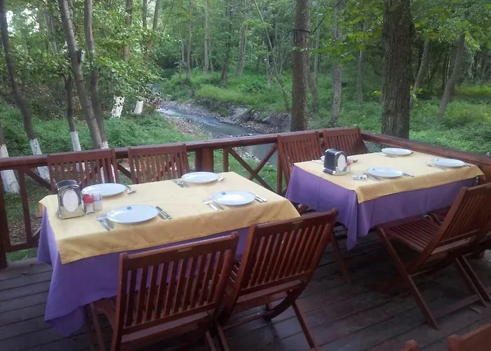 Sau Kirkpinar Uygulama Sapanca